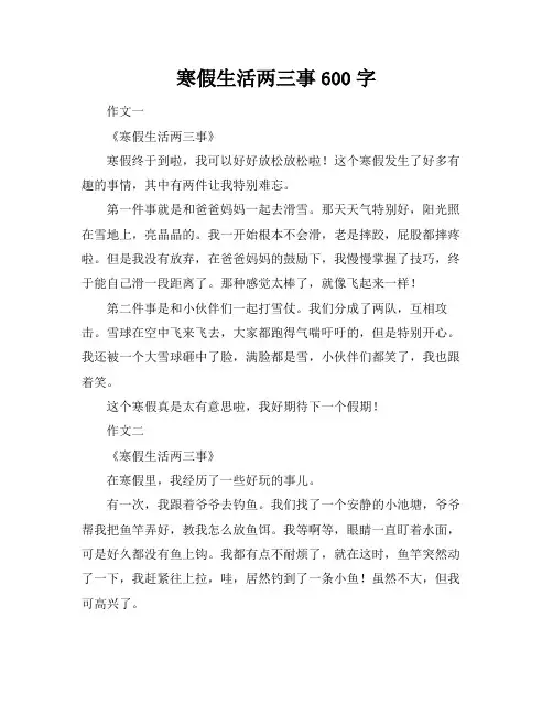 寒假生活两三事600字
