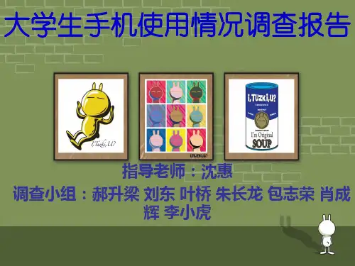 调查问卷-大学生手机使用情况调查报告(PPT31页)