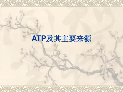 ATP及其主要来源