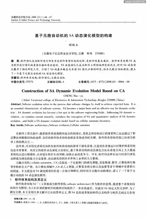 基于元胞自动机的SA动态演化模型的构建
