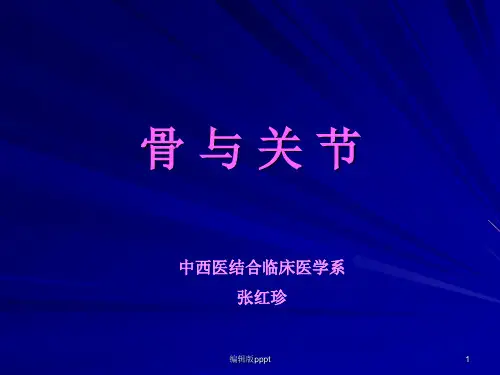 骨与关节正常解剖X线讲课PPT课件