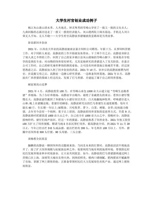 大学生村官创业成功例子
