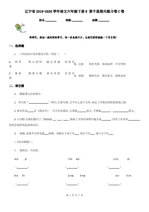 辽宁省2019-2020学年语文六年级下册9 那个星期天练习卷C卷