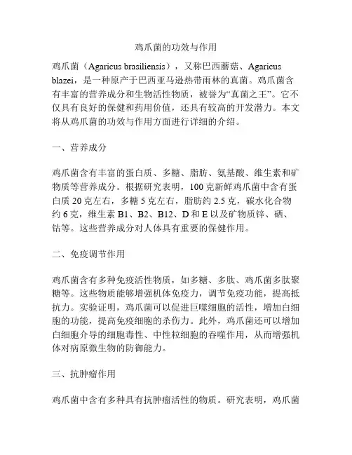 鸡爪菌的功效与作用