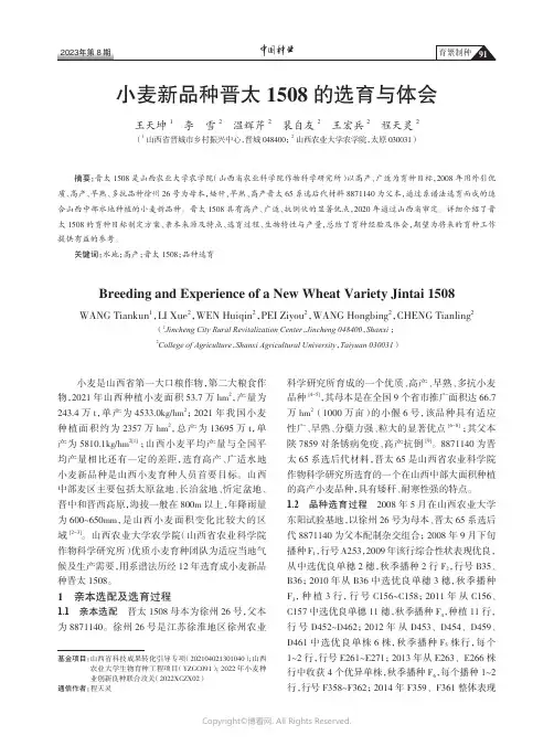 小麦新品种晋太1508的选育与体会