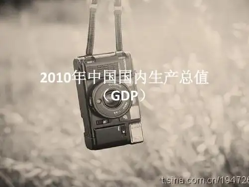 20102010年中国国内生产总值(GDP)