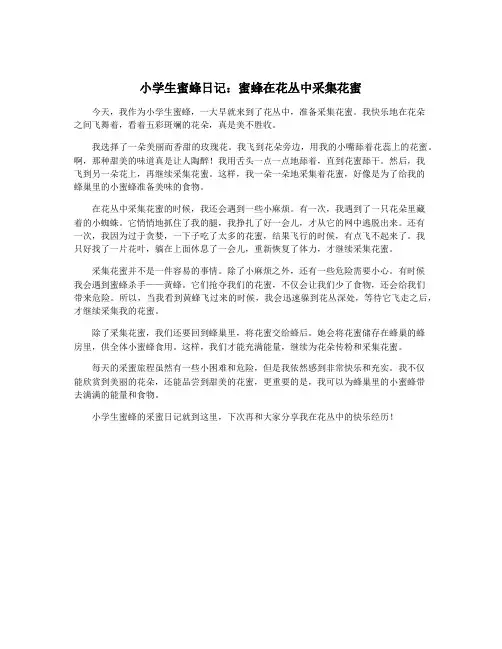 小学生蜜蜂日记：蜜蜂在花丛中采集花蜜