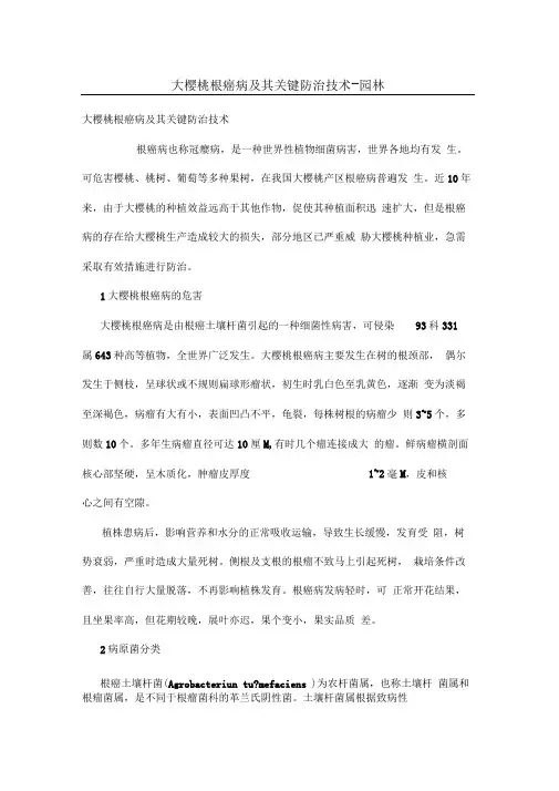 大樱桃根癌病及其关键防治技术