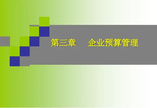 30企业预算管理.ppt