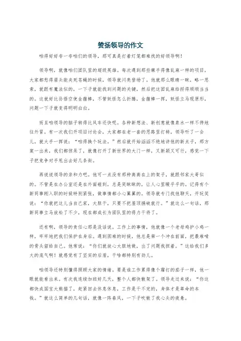 赞扬领导的作文