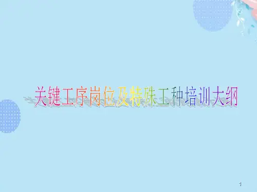 关键工序关键岗及特种工种培训PPT文档(完整版)