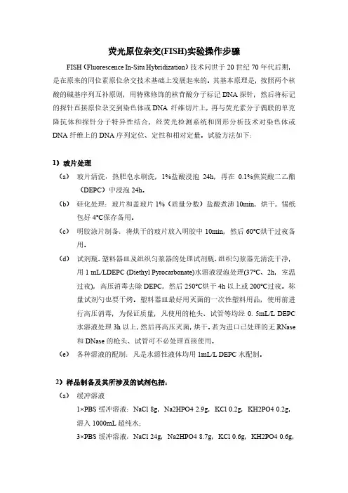 荧光原位杂交 FISH 实验操作步骤