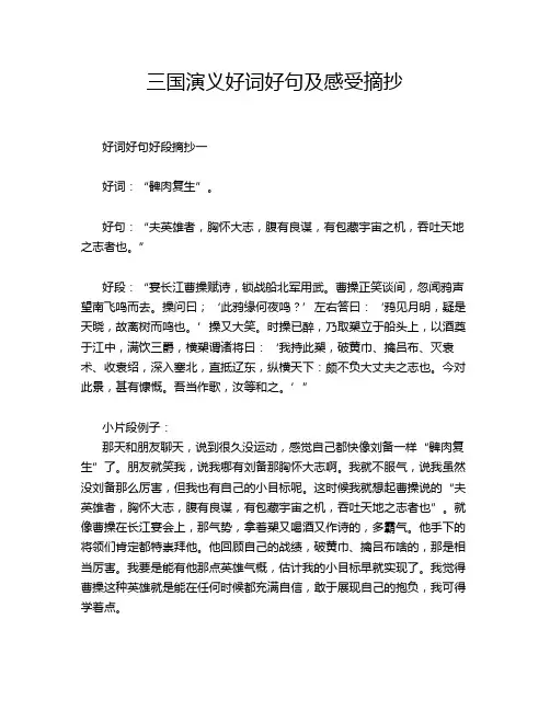 三国演义好词好句及感受摘抄