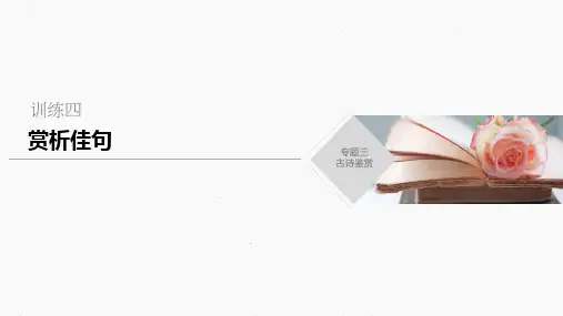 2020高考语文浙江专用版大二轮(课件+讲义+冲刺练)： 古诗鉴赏 训练四