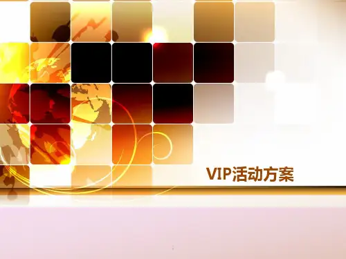 高端VIP沙龙ppt课件