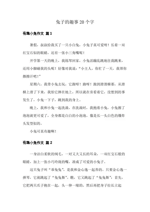 兔子的趣事20个字