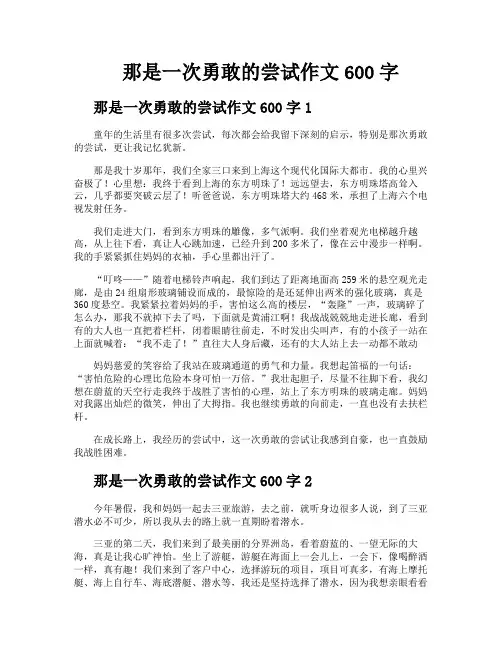 那是一次勇敢的尝试作文600字