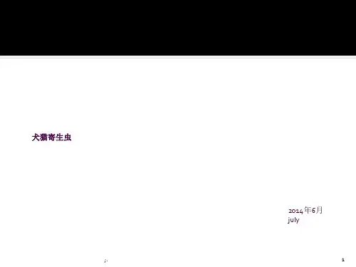犬猫寄生虫ppt课件