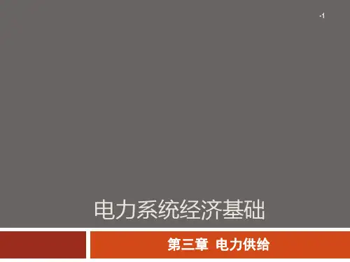 第三章 电力供给