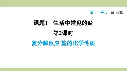 人教版九年级下册化学 11.1.2 复分解反应 盐的化学性质 课后习题重点练习课件 (1)
