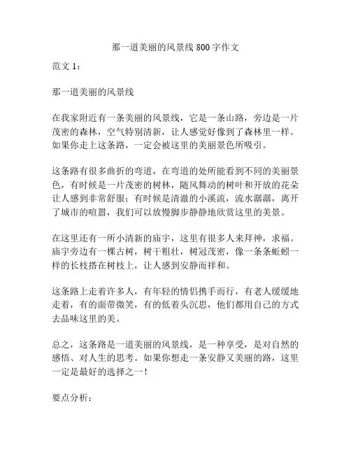 那一道美丽的风景线800字作文