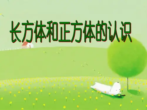 五年级下册数学课件-4.9 长方体 正方体的认识丨沪教版(2015秋)  (共20张PPT)