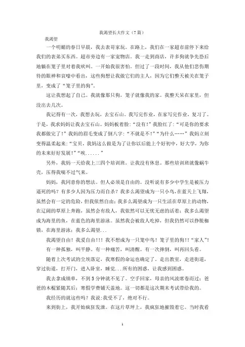我渴望长大作文(7篇)