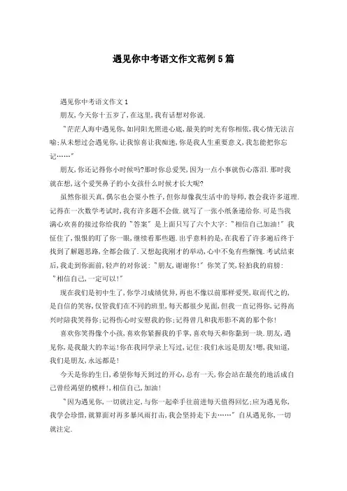 遇见你中考语文作文范例5篇