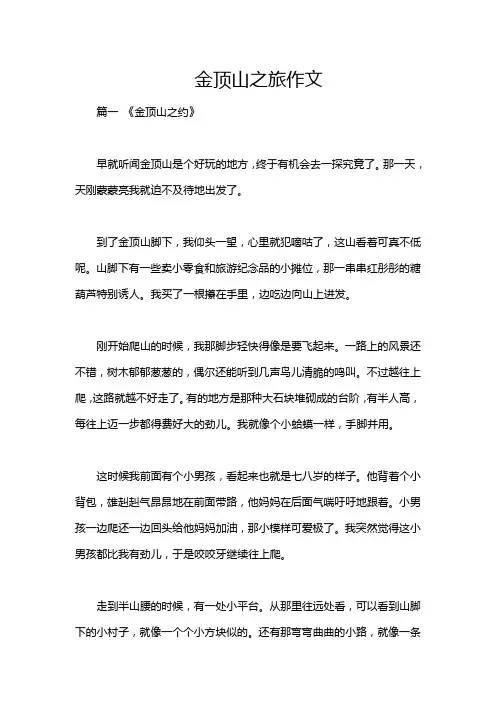金顶山之旅作文