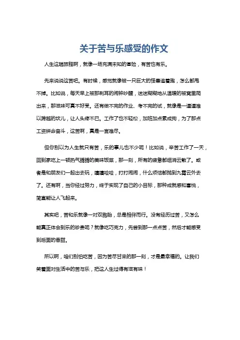 关于苦与乐感受的作文