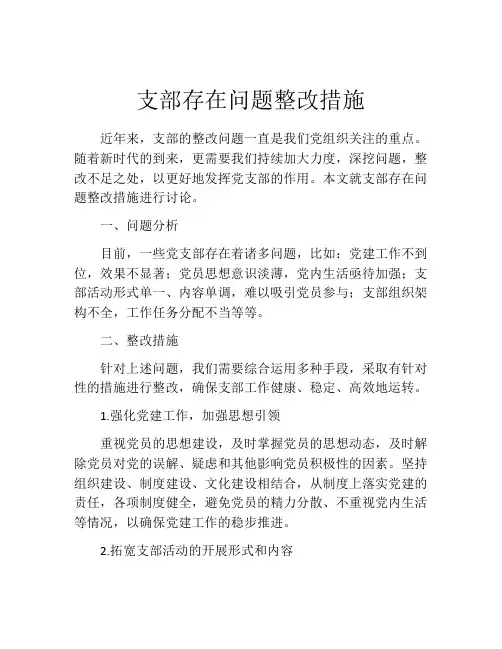 支部存在问题整改措施