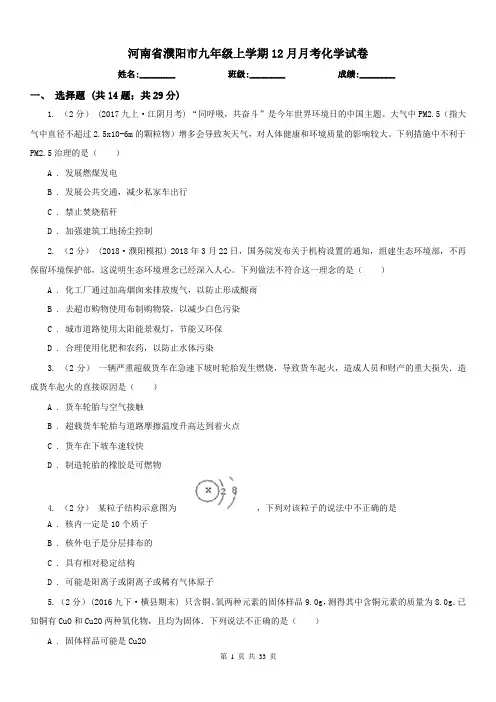 河南省濮阳市九年级上学期12月月考化学试卷