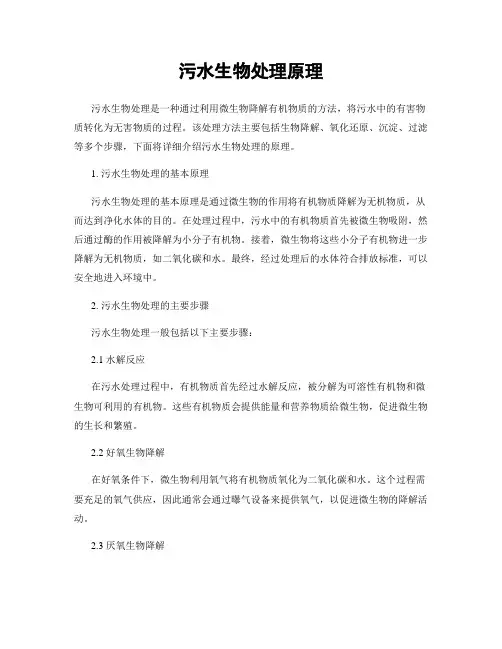 污水生物处理原理