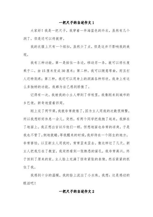 一把尺子的自述作文