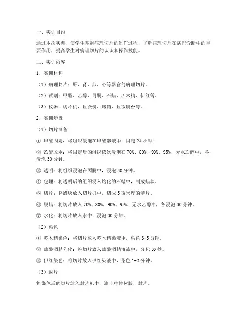 病理学病理切片实训报告