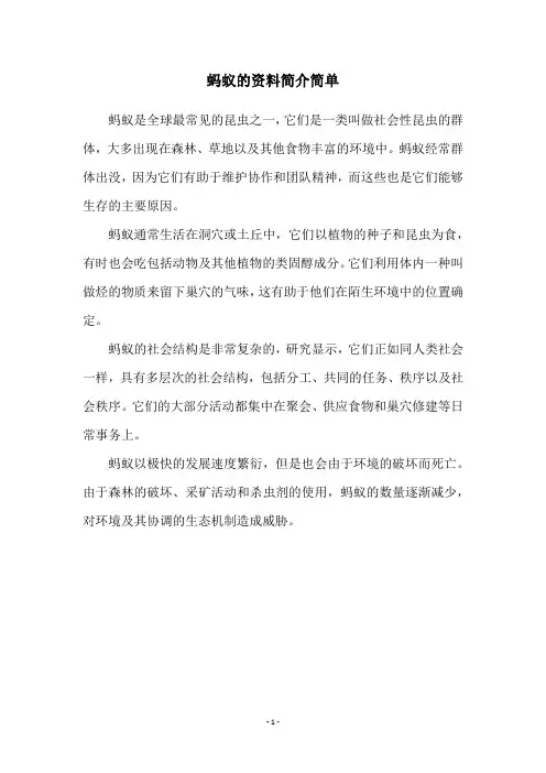 蚂蚁的资料简介简单