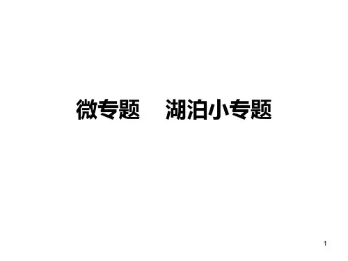 微专题湖泊ppt课件