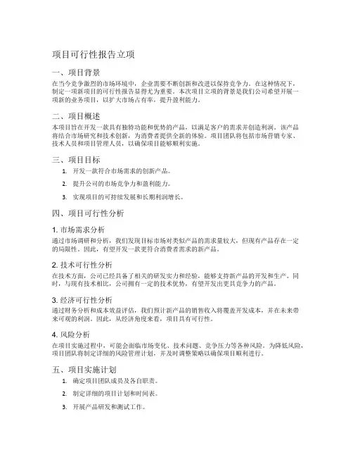 项目可行性报告立项