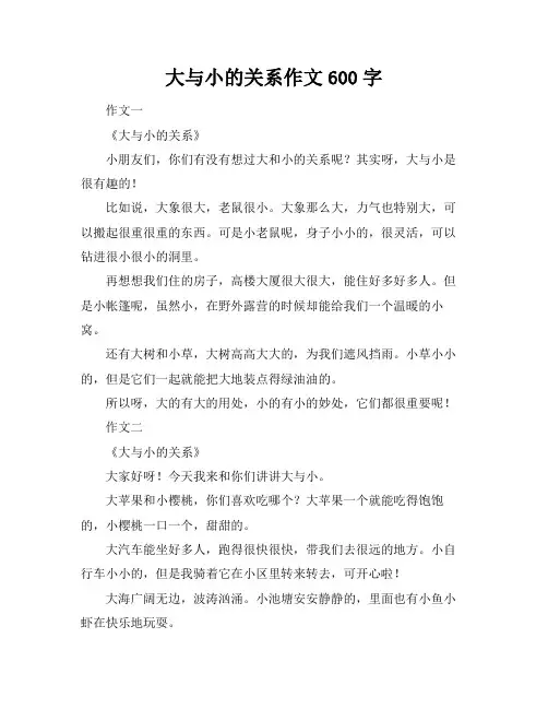 大与小的关系作文600字