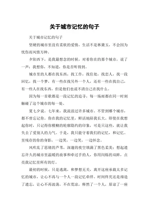 关于城市记忆的句子