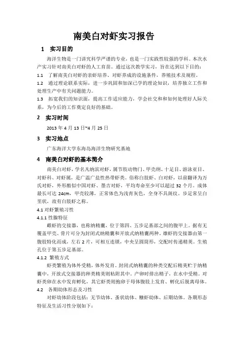 南美白对虾