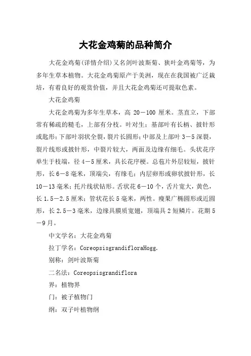 大花金鸡菊的品种简介