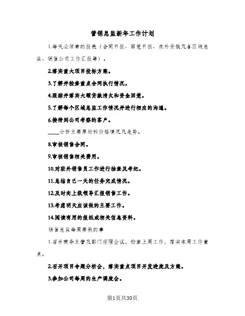 营销总监新年工作计划(七篇)