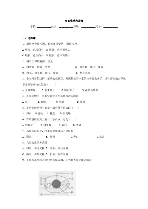 中考生物专题训练：《鸟的生殖和发育》(含真题及解析)