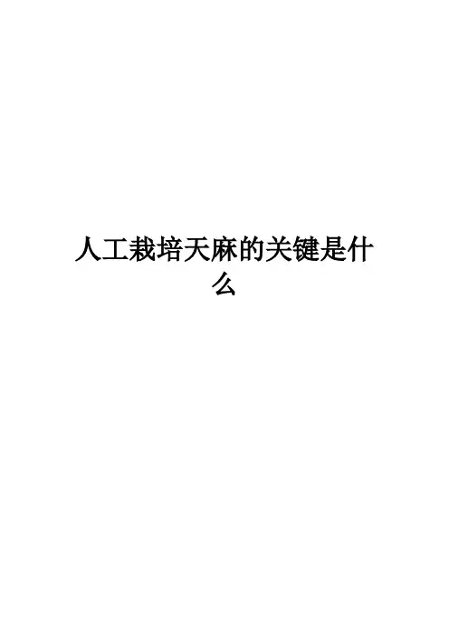 人工栽培天麻的关键是什么
