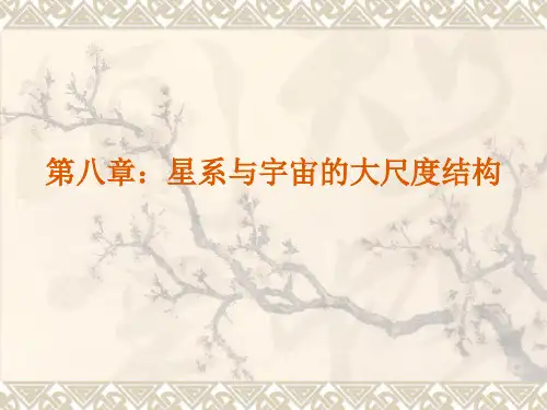 8星系与宇宙的大尺度结构
