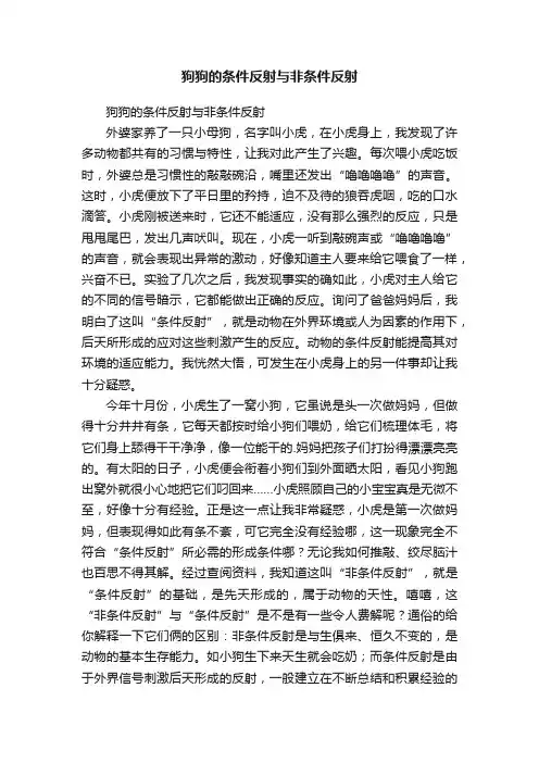 狗狗的条件反射与非条件反射