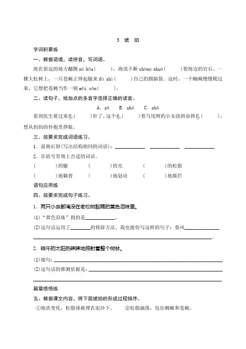 5《琥珀》课时测评(含答案)-部编版语文四年级下册
