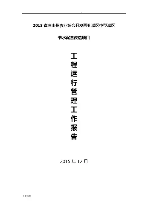 工程运行管理报告