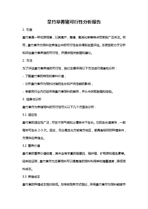 皇竹草养猪可行性分析报告